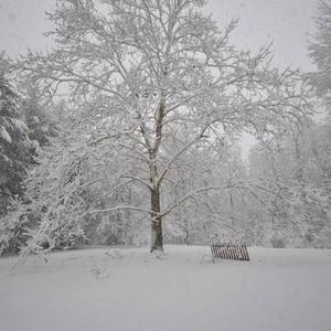 Meet your Posher, Dave